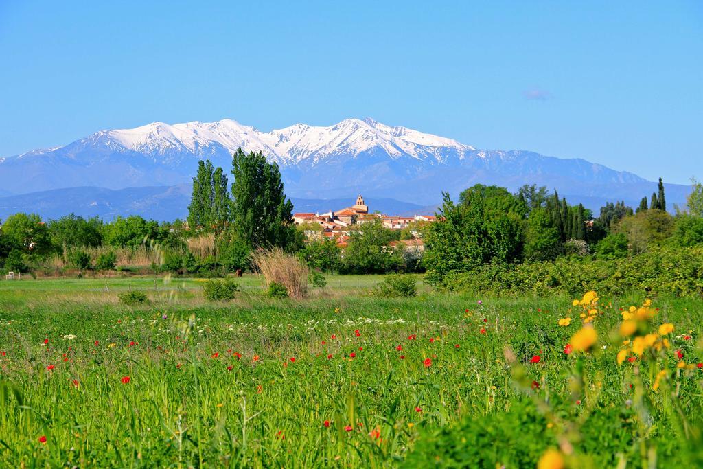Premiere Classe Perpignan Nord - Aeroport Rivesaltes Dış mekan fotoğraf